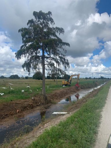 Svg+xml,%3Csvg%20xmlns%3D'http%3A%2F%2Fwww.w3