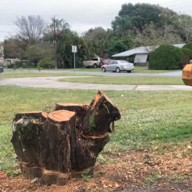 Svg+xml,%3Csvg%20xmlns%3D'http%3A%2F%2Fwww.w3