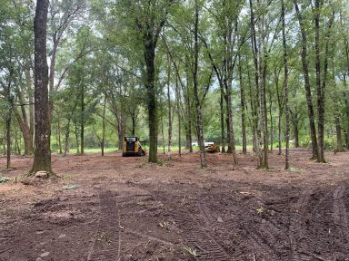 Svg+xml,%3Csvg%20xmlns%3D'http%3A%2F%2Fwww.w3