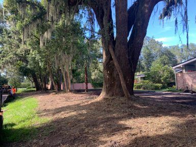 Svg+xml,%3Csvg%20xmlns%3D'http%3A%2F%2Fwww.w3