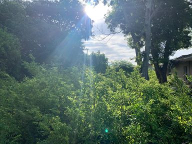 Svg+xml,%3Csvg%20xmlns%3D'http%3A%2F%2Fwww.w3