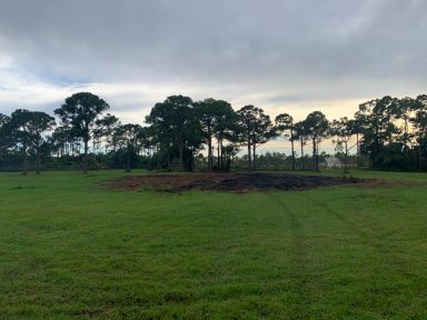 Svg+xml,%3Csvg%20xmlns%3D'http%3A%2F%2Fwww.w3