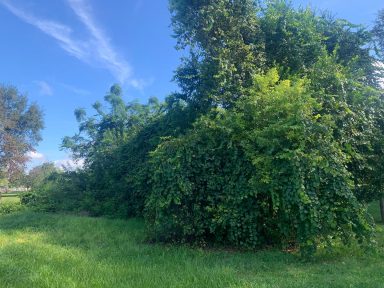 Svg+xml,%3Csvg%20xmlns%3D'http%3A%2F%2Fwww.w3