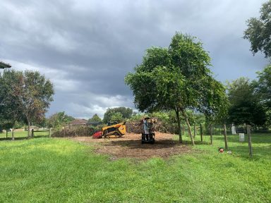 Svg+xml,%3Csvg%20xmlns%3D'http%3A%2F%2Fwww.w3