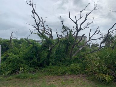 Svg+xml,%3Csvg%20xmlns%3D'http%3A%2F%2Fwww.w3