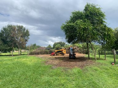 Svg+xml,%3Csvg%20xmlns%3D'http%3A%2F%2Fwww.w3