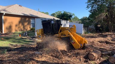 Svg+xml,%3Csvg%20xmlns%3D'http%3A%2F%2Fwww.w3