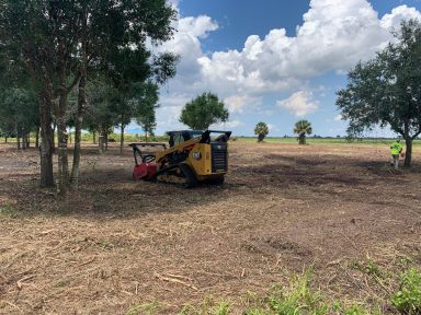 Svg+xml,%3Csvg%20xmlns%3D'http%3A%2F%2Fwww.w3