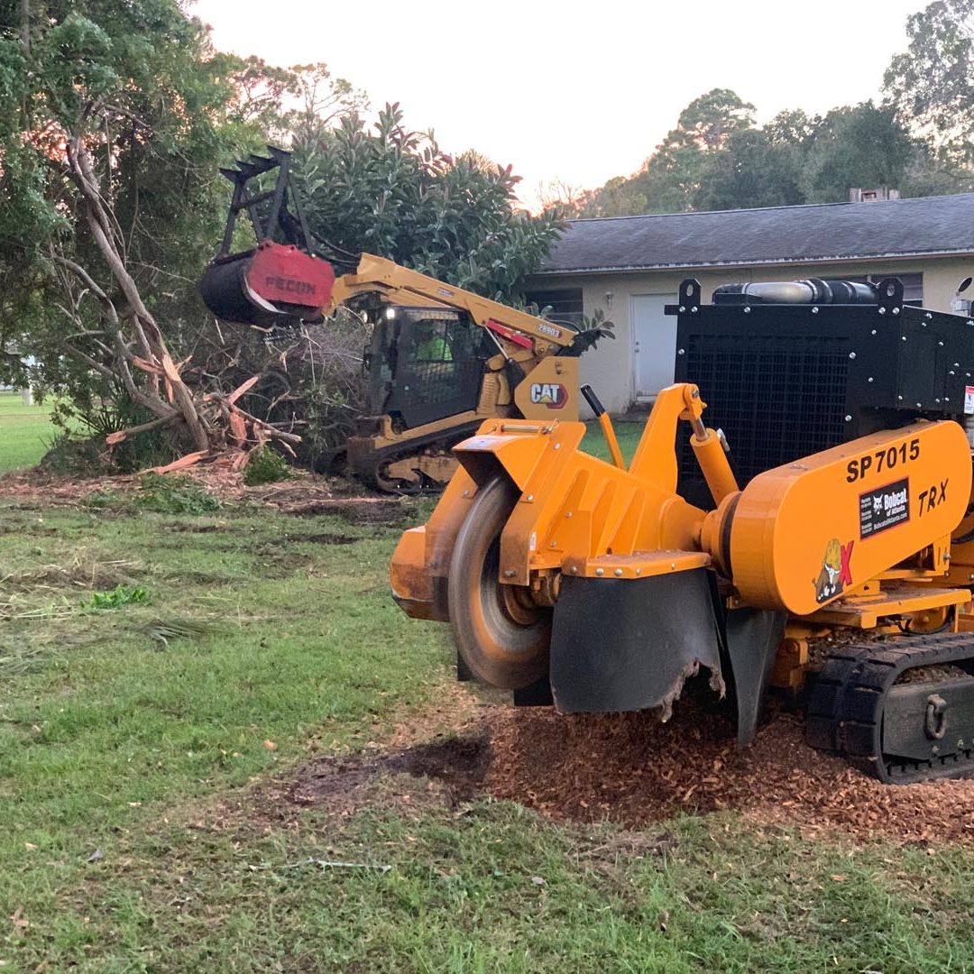 Southern Touch Tree Service - Stump Grinding, Brush Clearing, Landscape