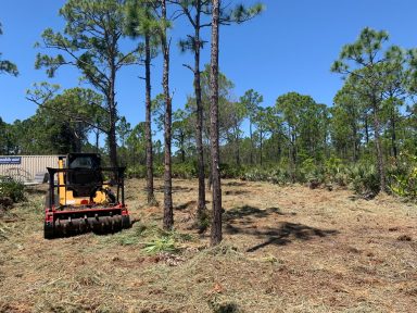 Svg+xml,%3Csvg%20xmlns%3D'http%3A%2F%2Fwww.w3