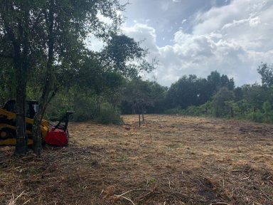 Svg+xml,%3Csvg%20xmlns%3D'http%3A%2F%2Fwww.w3