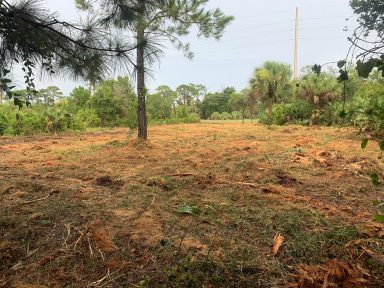 Svg+xml,%3Csvg%20xmlns%3D'http%3A%2F%2Fwww.w3