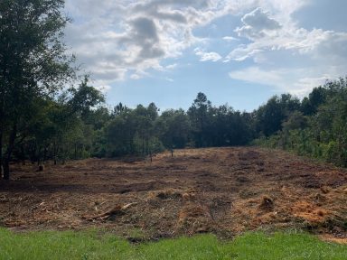 Svg+xml,%3Csvg%20xmlns%3D'http%3A%2F%2Fwww.w3