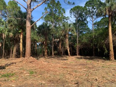 Svg+xml,%3Csvg%20xmlns%3D'http%3A%2F%2Fwww.w3