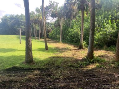 Svg+xml,%3Csvg%20xmlns%3D'http%3A%2F%2Fwww.w3