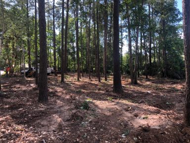 Svg+xml,%3Csvg%20xmlns%3D'http%3A%2F%2Fwww.w3