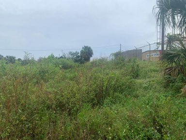 Svg+xml,%3Csvg%20xmlns%3D'http%3A%2F%2Fwww.w3