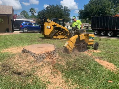 Svg+xml,%3Csvg%20xmlns%3D'http%3A%2F%2Fwww.w3