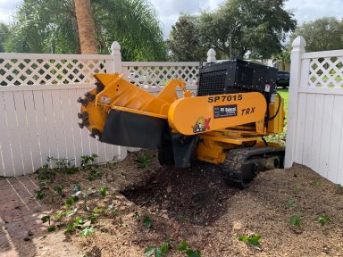 Svg+xml,%3Csvg%20xmlns%3D'http%3A%2F%2Fwww.w3