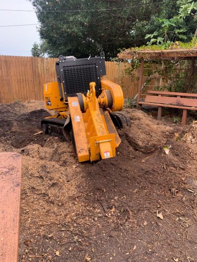 Svg+xml,%3Csvg%20xmlns%3D'http%3A%2F%2Fwww.w3