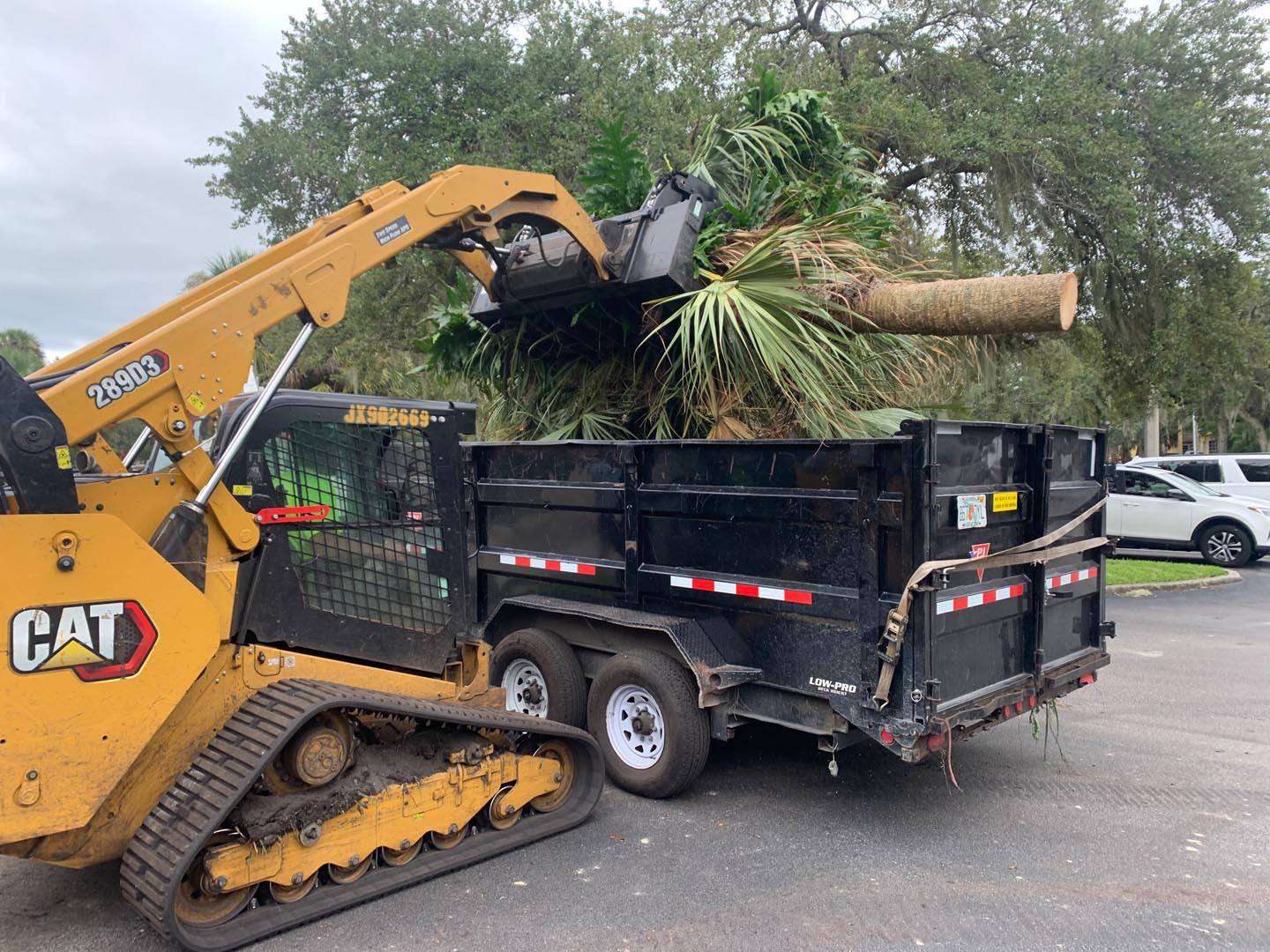 brush and tree clearing equipment, Newberry FL