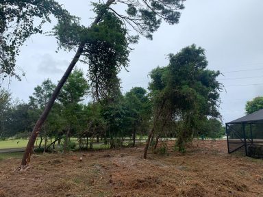 Svg+xml,%3Csvg%20xmlns%3D'http%3A%2F%2Fwww.w3