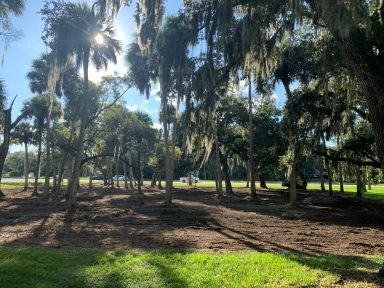 Svg+xml,%3Csvg%20xmlns%3D'http%3A%2F%2Fwww.w3