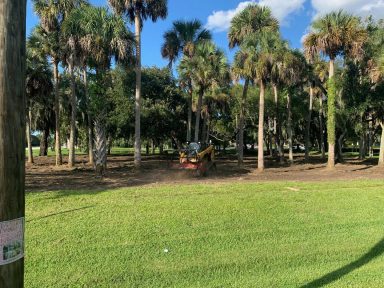 Svg+xml,%3Csvg%20xmlns%3D'http%3A%2F%2Fwww.w3