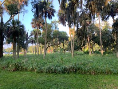 Svg+xml,%3Csvg%20xmlns%3D'http%3A%2F%2Fwww.w3