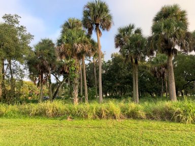 Svg+xml,%3Csvg%20xmlns%3D'http%3A%2F%2Fwww.w3