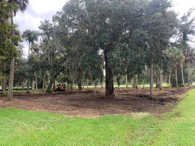 Svg+xml,%3Csvg%20xmlns%3D'http%3A%2F%2Fwww.w3