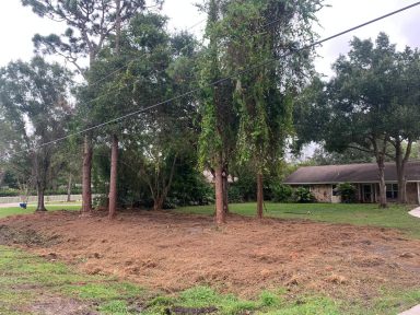 Svg+xml,%3Csvg%20xmlns%3D'http%3A%2F%2Fwww.w3