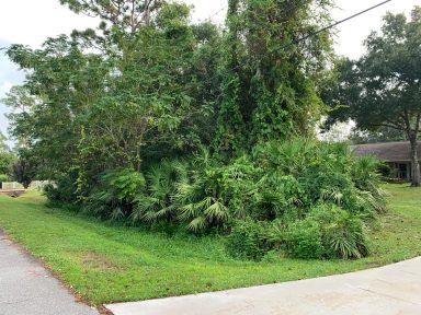 Svg+xml,%3Csvg%20xmlns%3D'http%3A%2F%2Fwww.w3